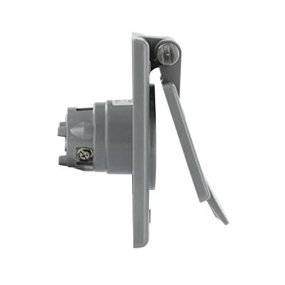 Leviton 5278-CWP 3-Wire 2-Pole Straight Blade Industrial Grade Power Inlet Receptacle 125-Volt 15-Amp Gray
